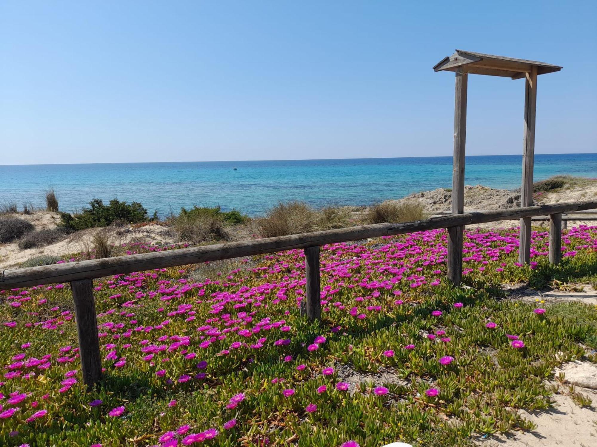 Home Salento 1 Torre Vado Εξωτερικό φωτογραφία